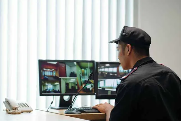 Security monitoring visual from brochure