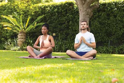 Meditation garden visual from brochure